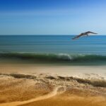 18oz Heavy Duty Banners